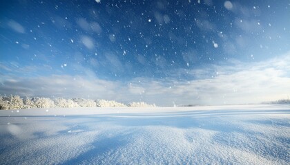 wide snowy field under a pale winter sky with gentle falling snow