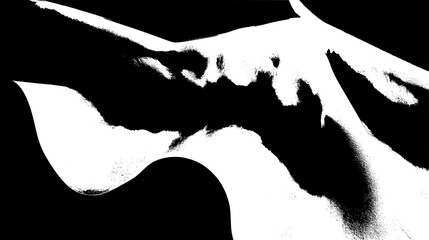 Abstract Gray and White Texture Design