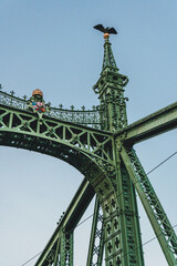 detailed view of iron green bridge in contrast with clear sunset light