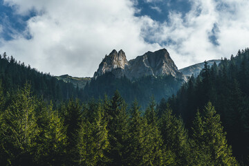 high rocky peaks mountain landscape with clouds and pine trees on different lights and shades carpathians