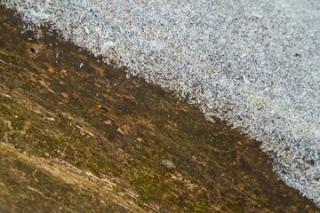 Background for presentation or banner. Snow, slush and frost on a wooden background and texture. Natural structure and the relationship between hot and cold. Natural processes in contrast