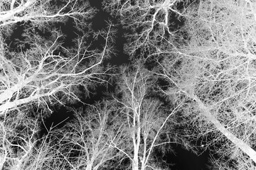 Negative, frightening image. Winter idyll in the nature of forests and fields. Farmland and forest in winter and early spring. Hibernation and climate change, landscape in Europe and Germany