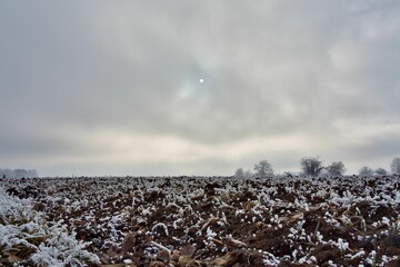 Vegetation under snow, frost and frost. Winter idyll in the nature of forests and fields. Farmland and forest in winter and early spring. Hibernation and climate change, landscape in Europe and German