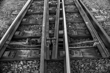 railroad tracks in a row