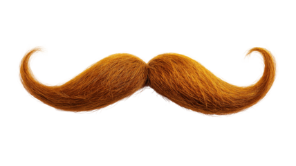 Brown Handlebar Mustache | Classic Groomed Facial Hair, Vintage Masculine Style