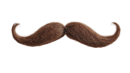 Brown Handlebar Mustache | Classic Groomed Facial Hair, Vintage Masculine Style