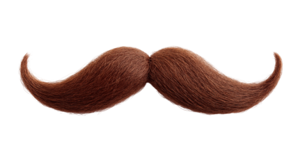 Brown Handlebar Mustache | Classic Groomed Facial Hair, Vintage Masculine Style