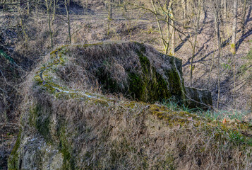 Am Wachsenden Felsen nahe Landau/Isar