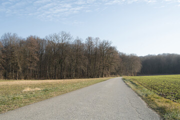 Road in the countryside by the forest tree line low perspective