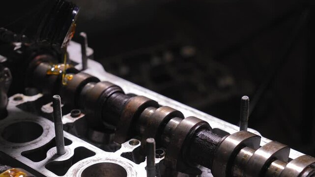 Vehicle maintenance with careful filling of gold-coloured engine oil into aluminium block head in camshaft bed and cylinder compensators during professional vehicle maintenance in specialist workshop