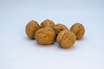 Walnuts in shell and natural brown tones