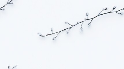   A tree branch with snow on it, perched by a bird, amidst a wintery day