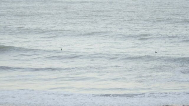 surfistas plano general