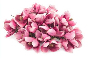 Naklejka premium A cluster of pink magnolia flowers arranged artistically.