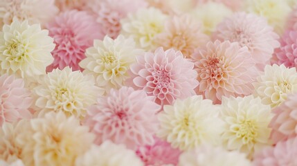  A bouquet of pink and white flowers fills the frame's center