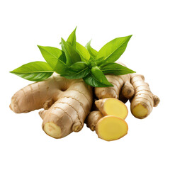ginger isolated on transparent background,PNG