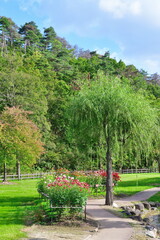 川西ダリア園（山形県）
