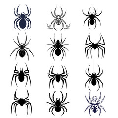 Spider silhouette bundle vector Style with white background 