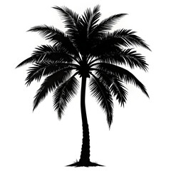 Black palm tree silhouette on white background, minimalist style, monochrome