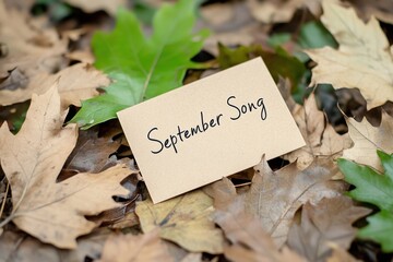 Note reading September Song placed on autumn leaves in a serene outdoor setting, evoking a sense of nostalgia and change