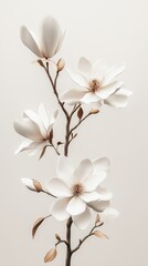 Blooming white magnolia flower on white background Generative AI