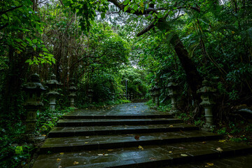 自然と歴史を感じる冨崎観音堂｜緑に包まれた癒しの参道散策
