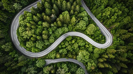 the street view is decorated with trees and sunlight