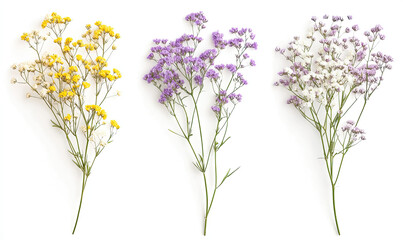 Obraz premium Three sprigs of colorful flowers in yellow, purple, and white, arranged for aesthetic appeal.
