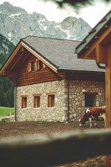 Alpine Retreat: A charming stone and wood chalet nestled in the majestic embrace of the Alps, a serene cow grazes nearby, surrounded by rugged mountains.