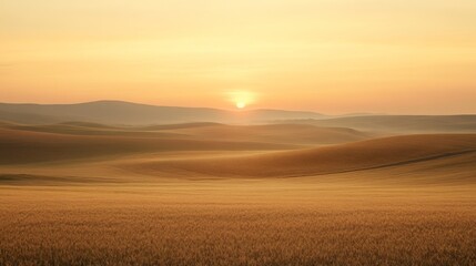 Obraz premium Dawn breaks over the vineyard, casting a golden glow on the rolling hills, vineyards, and a peaceful dirt road. The morning mist is pierced by the sun's rays, crafting a serene and picturesque scene