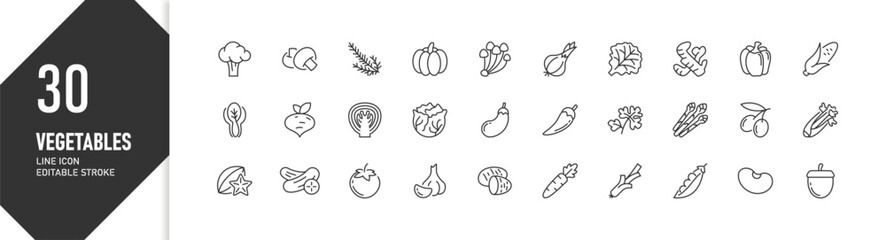30 Vegetables Line Icons Editable Stroke