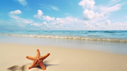 Starfish on the beach. Summer background with copy space for text