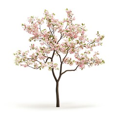 Obraz premium Artistic fall foliage on a delicate tree branch photo