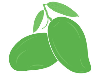   green mango illustration vector
