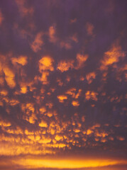 the rays of the setting sun illuminate the clouds, red sunset, clouds in the sky
