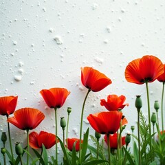 Obraz premium Vibrant red poppies contrasting against white snow in summer, flowers, vibrant, snow