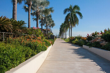 Fototapeta premium Beach side walk close to amenities and public transport Cullen Bay Darwin