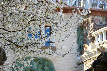 Delicate white flowers bloom on branches, highlighting a historic structure rich in architectural details and sculptures, basking in the warm spring sun