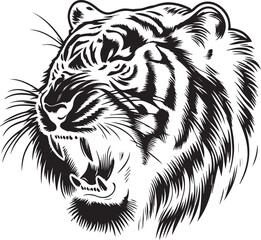 black and white tiger roar
