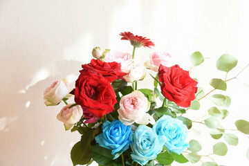 カラフルな薔薇