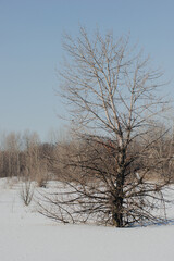 Sand quarry in th Vilnohirsk , Ukraine. Winter landscape on the sand quarry ,sun rays on the sy ,...