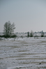 Sand quarry in th Vilnohirsk , Ukraine. Winter landscape on the sand quarry ,sun rays on the sy , beautiful colors on the picture . Path on the sand . Road and trees with lights of the sun . Trees 