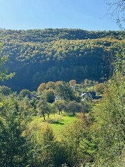 A peaceful village nestled in a lush forest valley, surrounded by green hills under a clear blue sky. The landscape features scattered houses, open grassy fields, and dense trees, creating a serene an