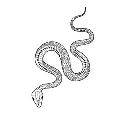 Elegant and whimsical silhouette of a snake intertwining in a graceful dance of doodles and patterns