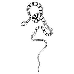 Elegant and whimsical silhouette of a snake intertwining in a graceful dance of doodles and patterns