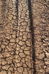 Dry cracked earth soil with a tire tyre track running through it