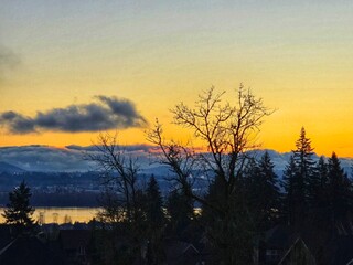 A stunning PNW sunset over a river, with silhouetted trees and distant mountains beneath a golden sky. Layers of clouds add depth to the tranquil evening scene.