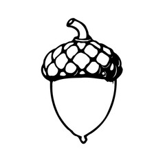 Acorn Outline Sketch in Black and White Tone