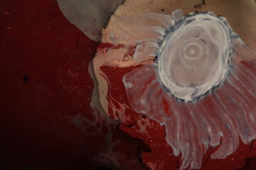 Liquid art with Ink, Paint, Mica Powder, Milk and Oils