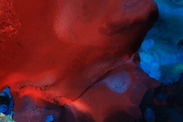 Liquid art with Ink, Paint, Mica Powder, Milk and Oils